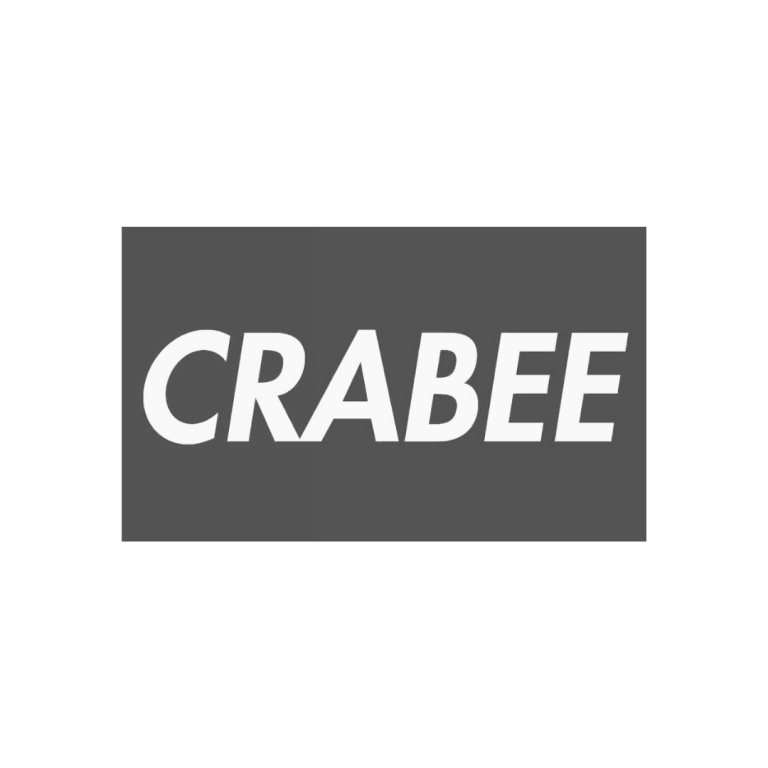 Finance Ai Chatbot | Crunch The crunch client - crabee