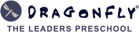 Dragonfly the leaders preschool